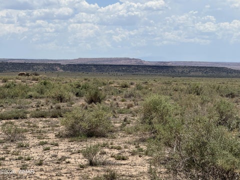 Tiny photo for G-BarRanch Lot 34, Saint Johns, AZ 85936 (MLS # 262877)