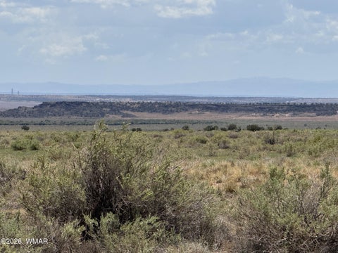 Tiny photo for G-BarRanch Lot 34, Saint Johns, AZ 85936 (MLS # 262877)