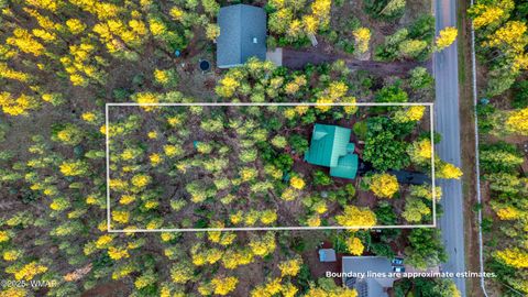 Tiny photo for 950 E Osprey Lane, Pinetop, AZ 85935 (MLS # 258062)