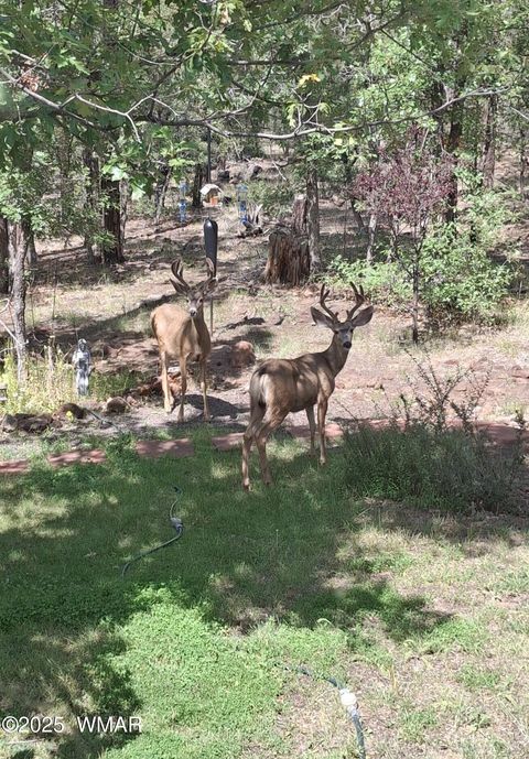 Tiny photo for 950 E Osprey Lane, Pinetop, AZ 85935 (MLS # 258062)
