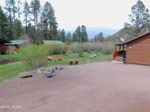 Tiny photo for Cabin 88 Rohrer Road, Greer, AZ 85927 (MLS # 261046)