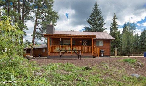 Photo of Cabin 88 Rohrer Road, Greer, AZ 85927 (MLS # 261046)