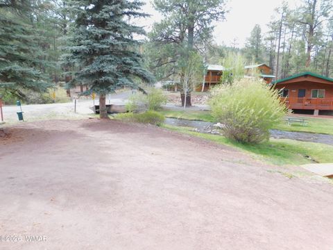 Tiny photo for Cabin 88 Rohrer Road, Greer, AZ 85927 (MLS # 261046)
