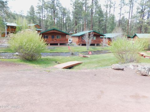 Tiny photo for Cabin 88 Rohrer Road, Greer, AZ 85927 (MLS # 261046)