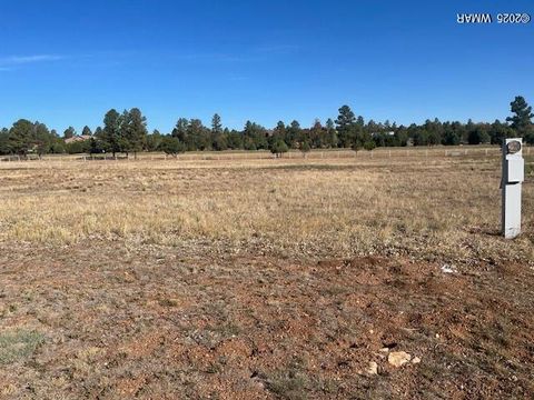 Photo of 2310 Quarter Horse Trail, Overgaard, AZ 85933 (MLS # 257980)