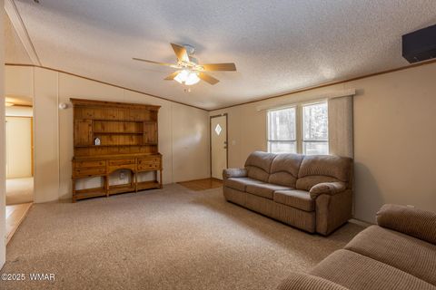 Tiny photo for 640 S 27Th Avenue, Show Low, AZ 85901 (MLS # 255513)