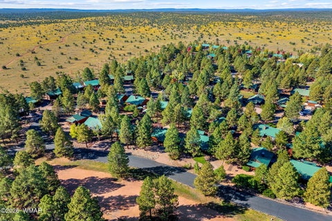 Tiny photo for 2683 Lodge Loop, Overgaard, AZ 85933 (MLS # 263476)