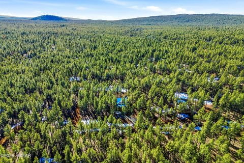 Tiny photo for 903 Birdsong Way Way, Lakeside, AZ 85929 (MLS # 259260)