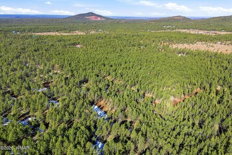 Tiny photo for 903 Birdsong Way Way, Lakeside, AZ 85929 (MLS # 259260)