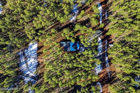 Tiny photo for 903 Birdsong Way Way, Lakeside, AZ 85929 (MLS # 259260)