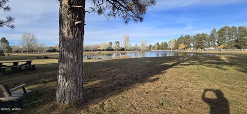 Tiny photo for 2417 Quarter Horse Trail #115, Overgaard, AZ 85933 (MLS # 259027)