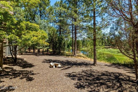 Tiny photo for 3990 W Sugar Pine Loop, Show Low, AZ 85901 (MLS # 257224)
