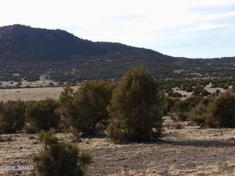 Tiny photo for Lot 15A N3411, Vernon, AZ 85940 (MLS # 259694)