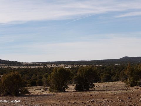 Tiny photo for Lot 15A N3411, Vernon, AZ 85940 (MLS # 259694)