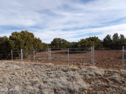 Photo of Lot 15A N3411, Vernon, AZ 85940 (MLS # 259694)