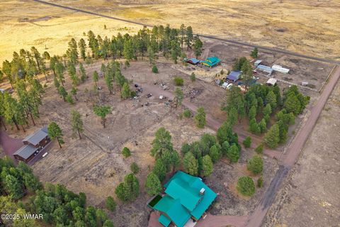 Tiny photo for TBD County Road N2144, Alpine, AZ 85920 (MLS # 256360)