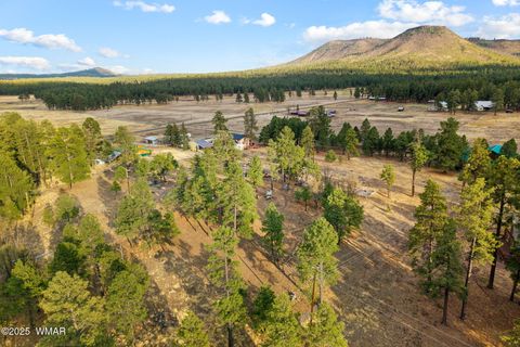 Tiny photo for TBD County Road N2144, Alpine, AZ 85920 (MLS # 256360)