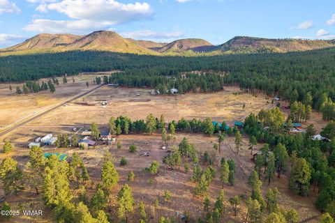 Tiny photo for TBD County Road N2144, Alpine, AZ 85920 (MLS # 256360)