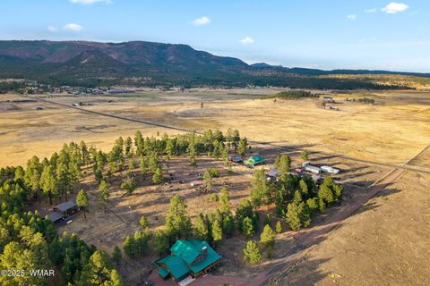 Tiny photo for TBD County Road N2144, Alpine, AZ 85920 (MLS # 256360)