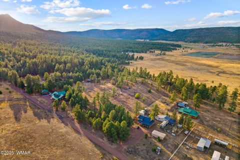 Tiny photo for TBD County Road N2144, Alpine, AZ 85920 (MLS # 256360)