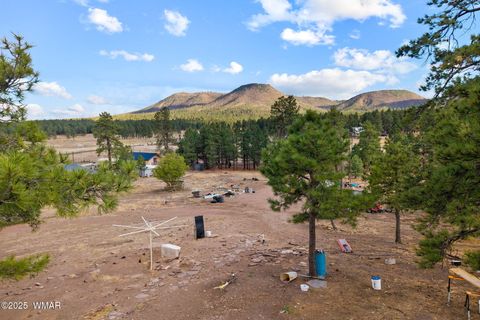 Tiny photo for TBD County Road N2144, Alpine, AZ 85920 (MLS # 256360)