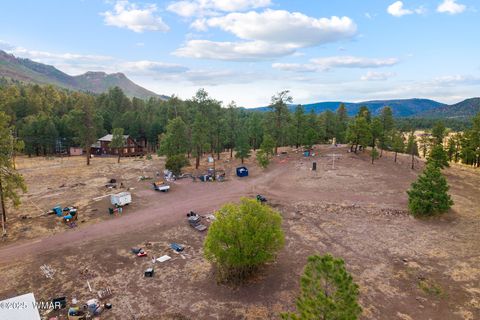 Tiny photo for TBD County Road N2144, Alpine, AZ 85920 (MLS # 256360)