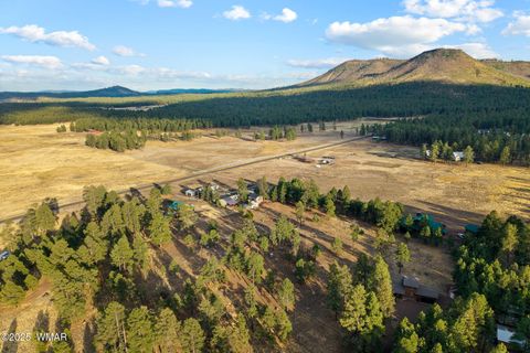 Tiny photo for TBD County Road N2144, Alpine, AZ 85920 (MLS # 256360)
