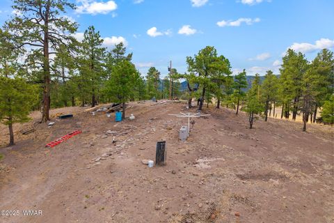 Tiny photo for TBD County Road N2144, Alpine, AZ 85920 (MLS # 256360)