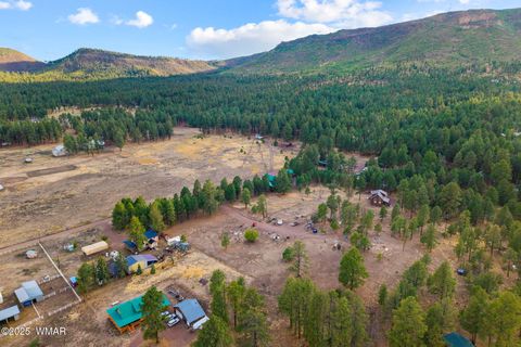 Tiny photo for TBD County Road N2144, Alpine, AZ 85920 (MLS # 256360)