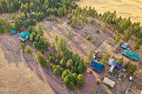 Tiny photo for TBD County Road N2144, Alpine, AZ 85920 (MLS # 256360)