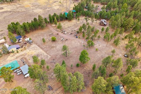 Tiny photo for TBD County Road N2144, Alpine, AZ 85920 (MLS # 256360)