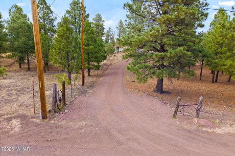 Tiny photo for TBD County Road N2144, Alpine, AZ 85920 (MLS # 256360)
