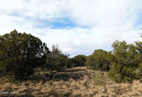 Tiny photo for 10 County Road N 3071, Vernon, AZ 85940 (MLS # 254824)