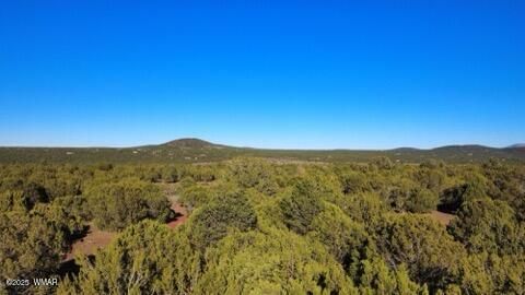 Tiny photo for 10 County Road N 3071, Vernon, AZ 85940 (MLS # 254824)