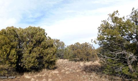 Tiny photo for 10 County Road N 3071, Vernon, AZ 85940 (MLS # 254824)
