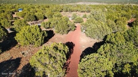 Tiny photo for 10 County Road N 3071, Vernon, AZ 85940 (MLS # 254824)