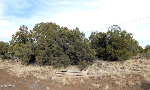 Tiny photo for 10 County Road N 3071, Vernon, AZ 85940 (MLS # 254824)