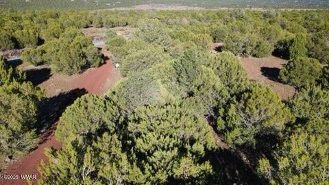 Tiny photo for 10 County Road N 3071, Vernon, AZ 85940 (MLS # 254824)