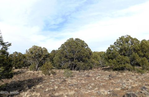 Tiny photo for 10 County Road N 3071, Vernon, AZ 85940 (MLS # 254824)