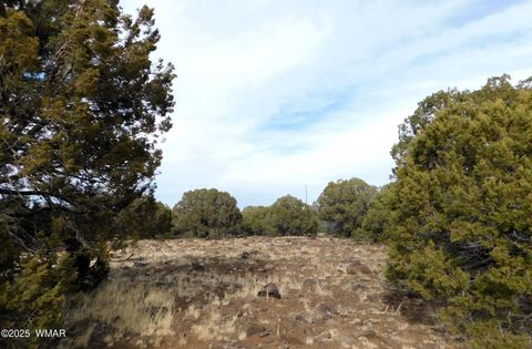 Tiny photo for 10 County Road N 3071, Vernon, AZ 85940 (MLS # 254824)
