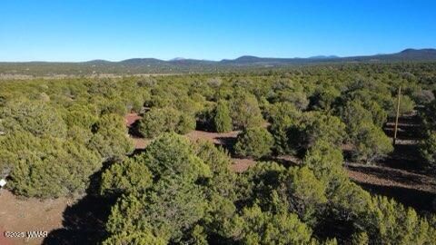 Tiny photo for 10 County Road N 3071, Vernon, AZ 85940 (MLS # 254824)