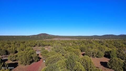 Tiny photo for 10 County Road N 3071, Vernon, AZ 85940 (MLS # 254824)