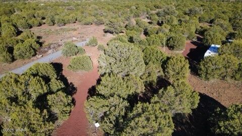 Tiny photo for 10 County Road N 3071, Vernon, AZ 85940 (MLS # 254824)