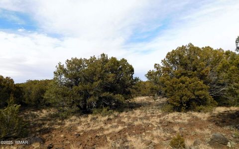 Tiny photo for 10 County Road N 3071, Vernon, AZ 85940 (MLS # 254824)