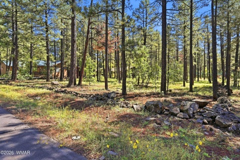 Tiny photo for 7029 Madison Lane Circle, Pinetop, AZ 85935 (MLS # 263396)