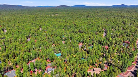 Tiny photo for 7029 Madison Lane Circle, Pinetop, AZ 85935 (MLS # 263396)