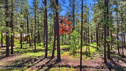 Featured picture for the property 263396
