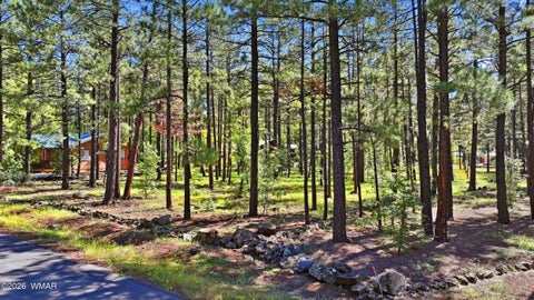 Tiny photo for 7029 Madison Lane Circle, Pinetop, AZ 85935 (MLS # 263396)