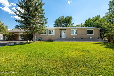 Photo of 307 E 5th Avenue, Eagar, AZ 85925 (MLS # 258759)
