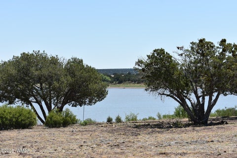 Tiny photo for 1949 Norton Place, Show Low, AZ 85901 (MLS # 263320)